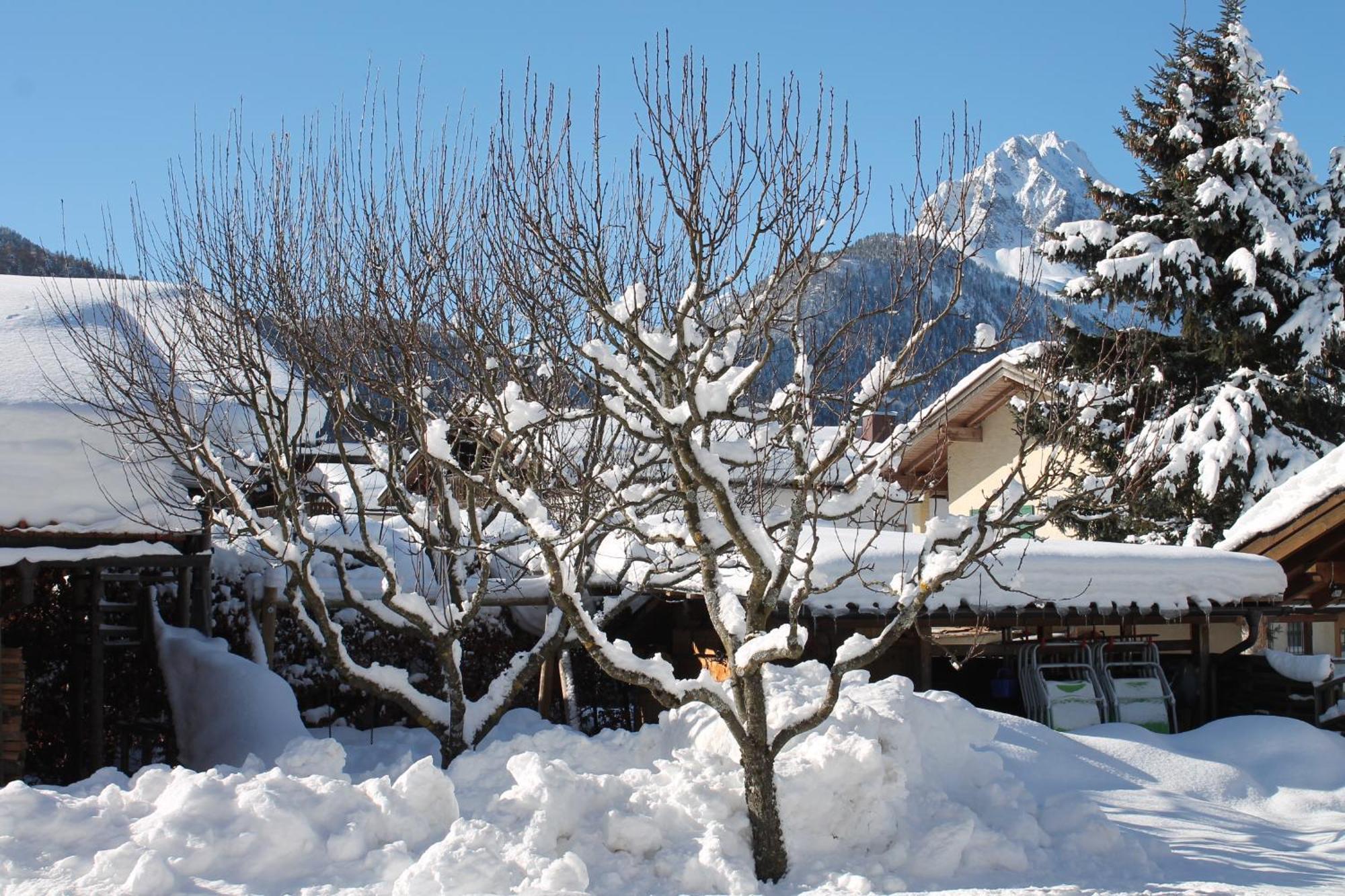 Ferienapartmenthaus Hubertushof มิทเทนวัลด์ ภายนอก รูปภาพ